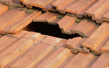 roof repair Shelton