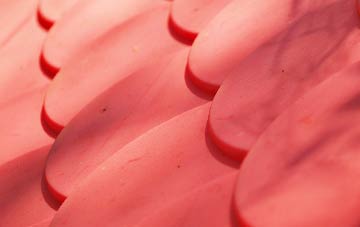 Shelton plastic roof costs